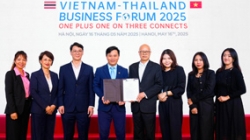 ������֤��������Ե�Ƽ���FPT���Ŵ��ս������������̩����ȫ������ҵ���ֻ�ת����ƪ��