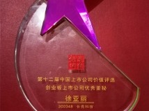 ����������Ůʿ�ٻ񡰵�ʮ�����й���ҵ�����й�˾�������ؽ���