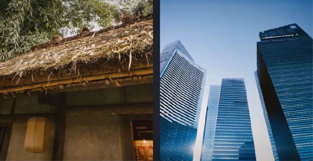 2023081496075 2023081496075