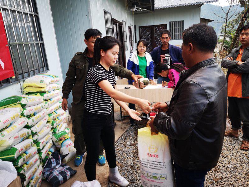 2024090359595 2024090359595